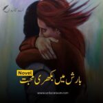 بارش کے رنگ: ایک محبت کی کہانی